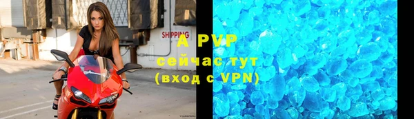 ПСИЛОЦИБИНОВЫЕ ГРИБЫ Новокубанск