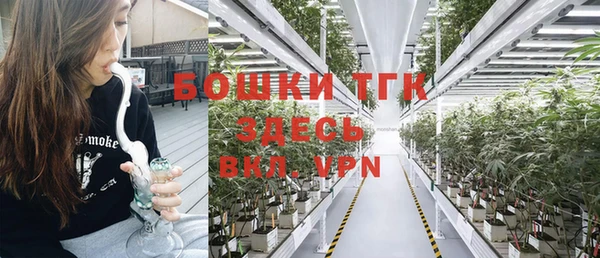 ПСИЛОЦИБИНОВЫЕ ГРИБЫ Новокубанск