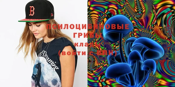 спайс Новозыбков