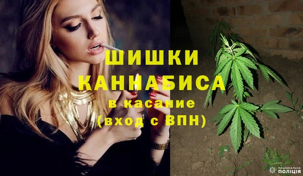 ПСИЛОЦИБИНОВЫЕ ГРИБЫ Новокубанск