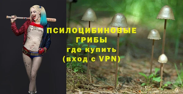 ПСИЛОЦИБИНОВЫЕ ГРИБЫ Новокубанск