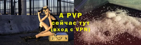 ПСИЛОЦИБИНОВЫЕ ГРИБЫ Новокубанск