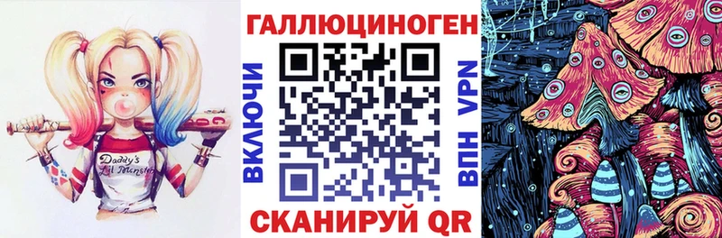 купить наркоту  Чулым  Псилоцибиновые грибы GOLDEN TEACHER 